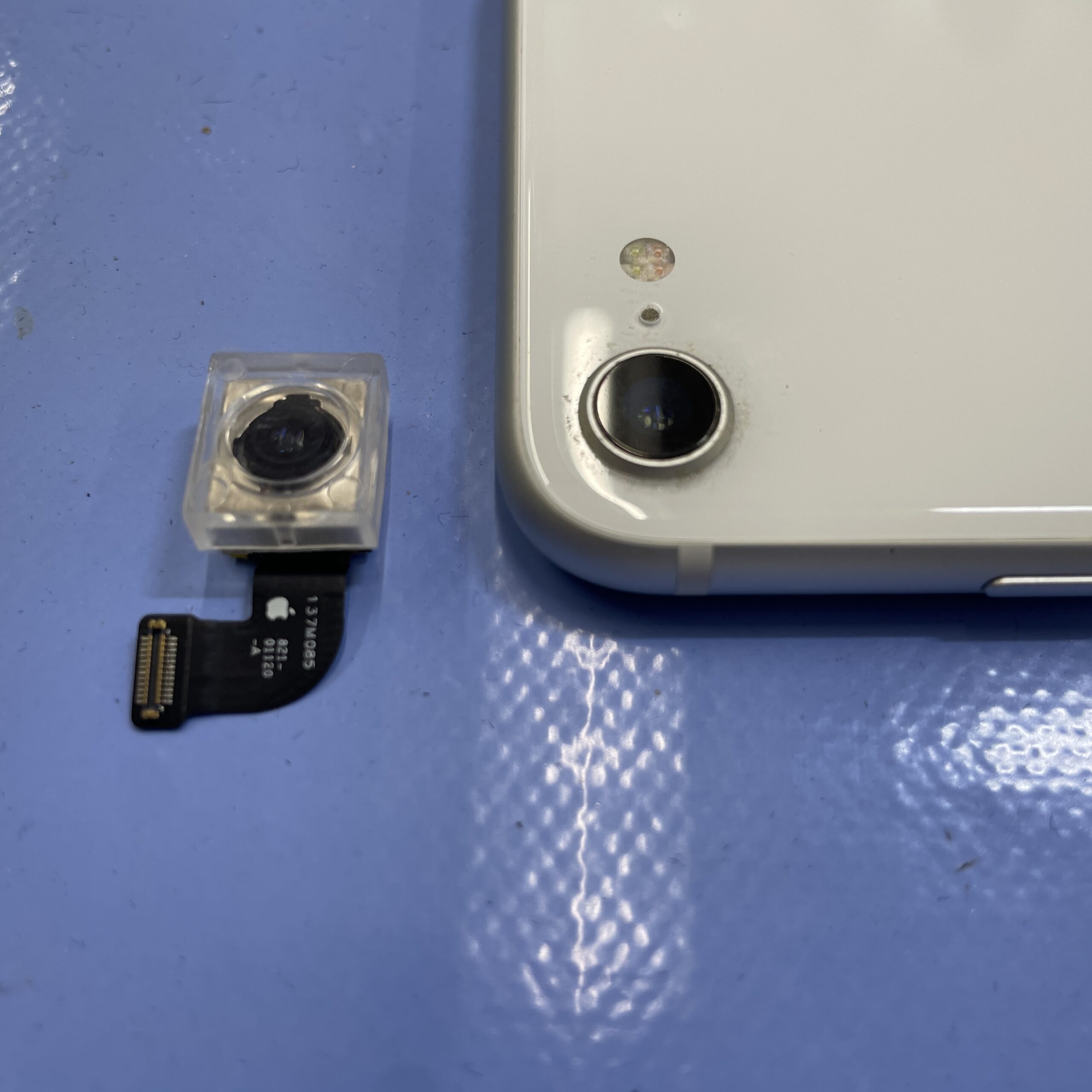 成東店：iPhoneSE2アウトカメラ修理を行いました！