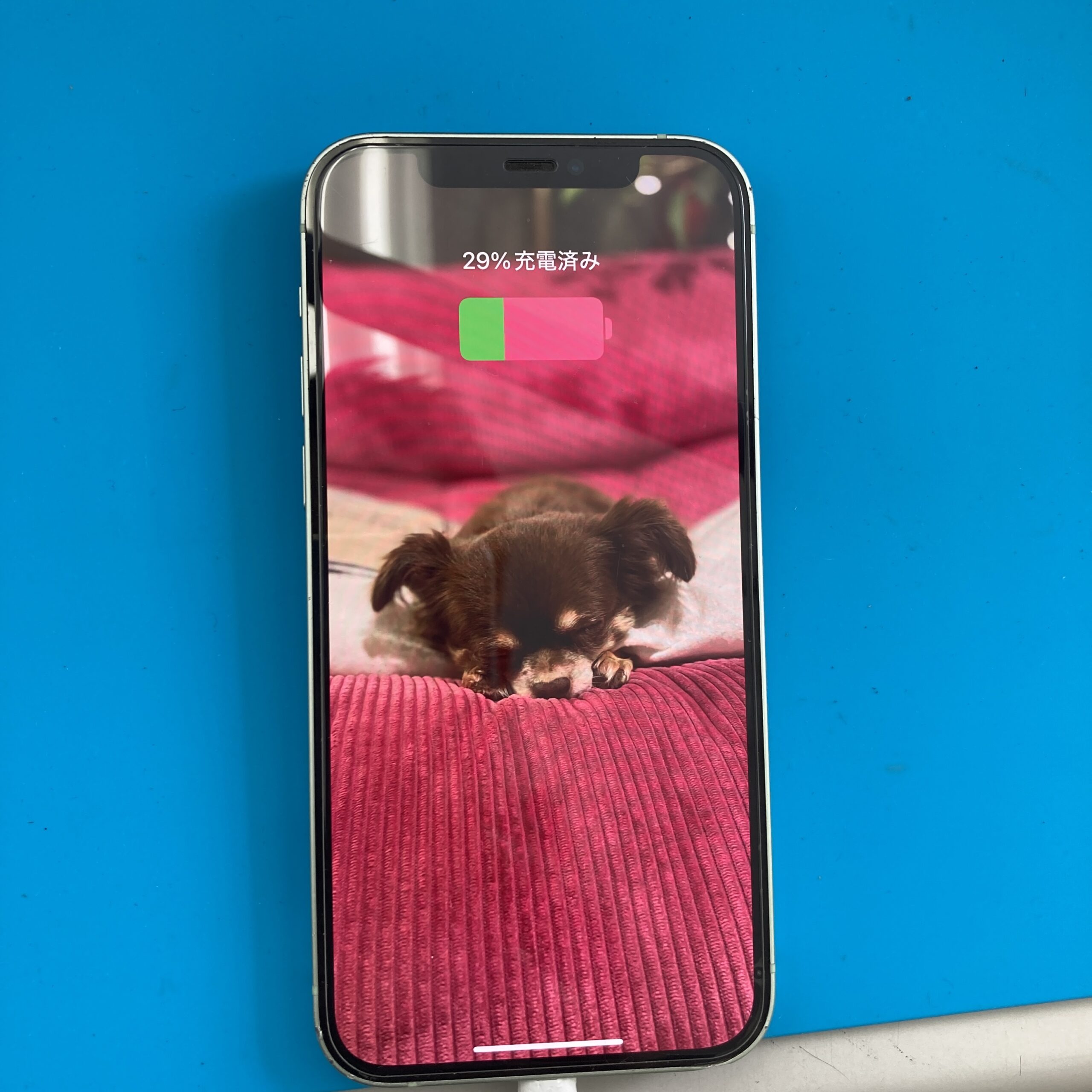 土浦店　iPhone12 充電口修理！9,680円でやらせていただきました！