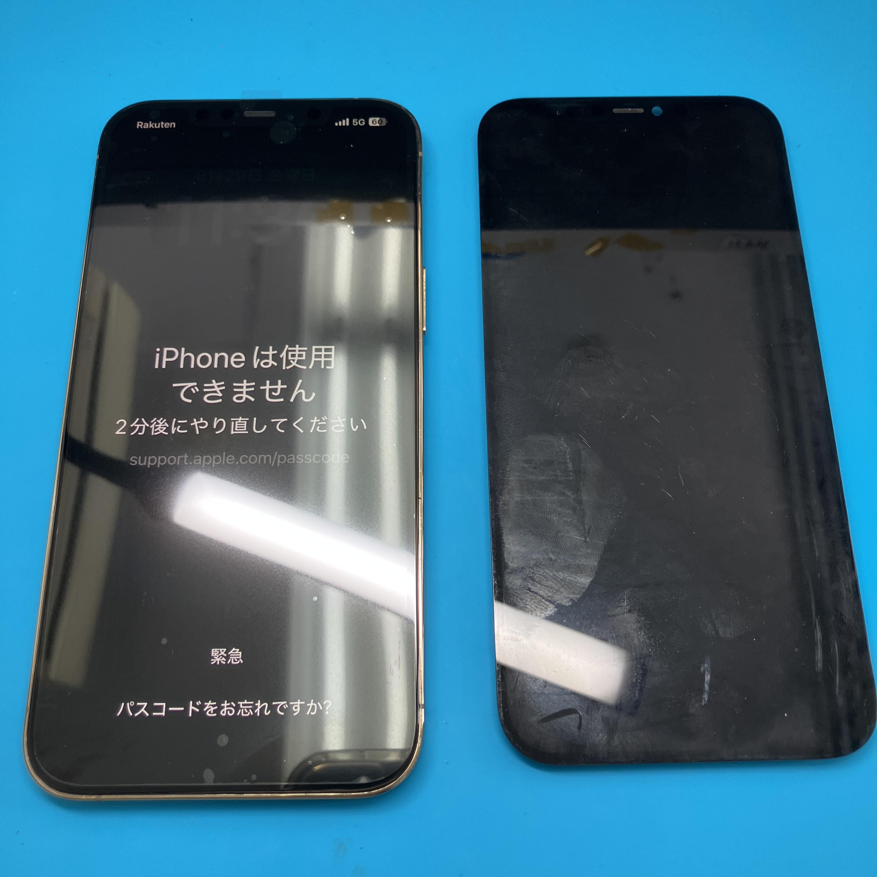 土浦店 iPhone 12ProMaxの重度画面修理を即日対応！