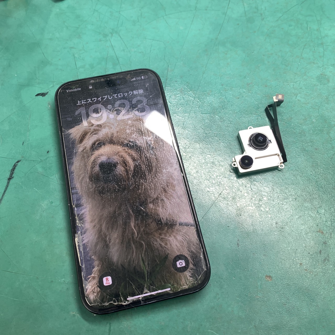 松戸店：iPhone15 アウトカメラ交換修理を14,080円で実施しました！