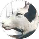 tk tk profile picture