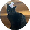 y k profile picture