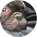 Second Micca profile picture